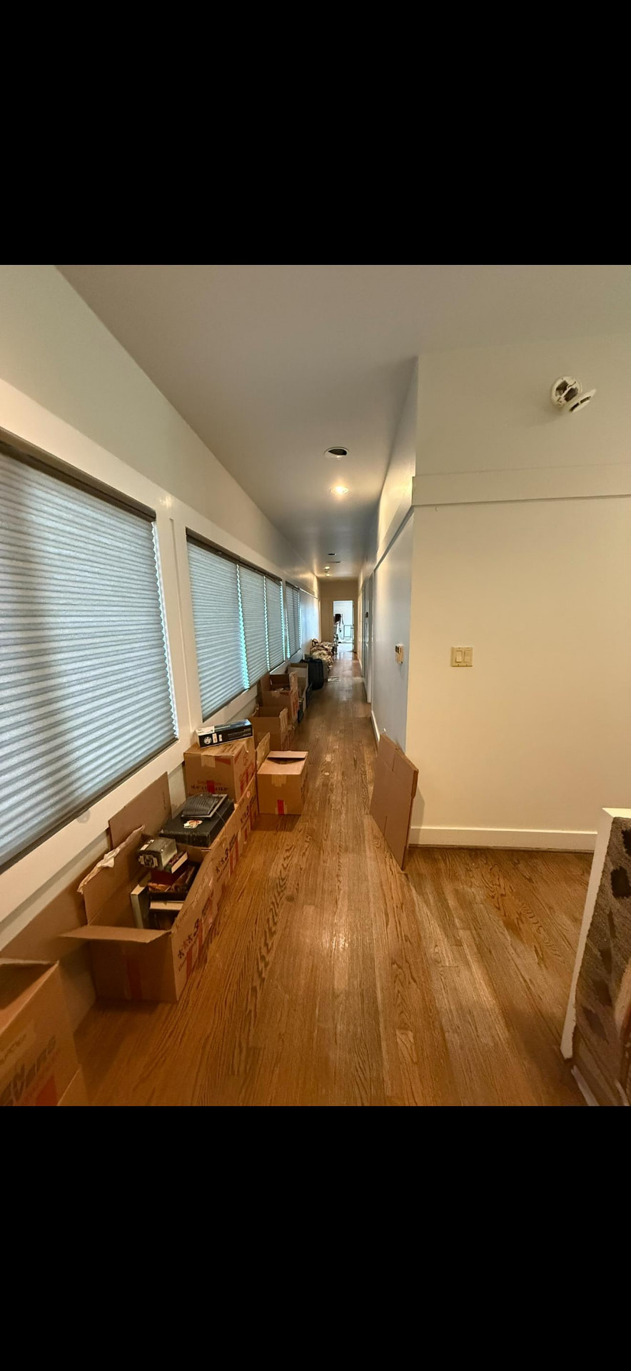 Window-lined corridor with oak flooring leading to the rear of the home